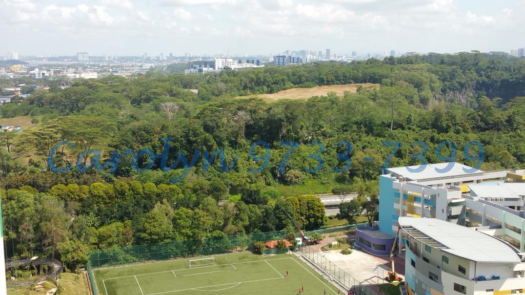 Blk 630 Senja Road (Bukit Panjang), HDB 4 Rooms #85089222